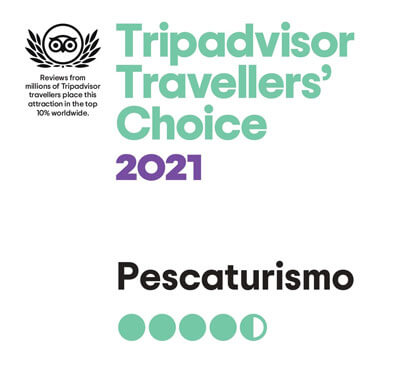 Pechetourisme Minorque remporte le prix Travellers' Choice de Tripadvisor